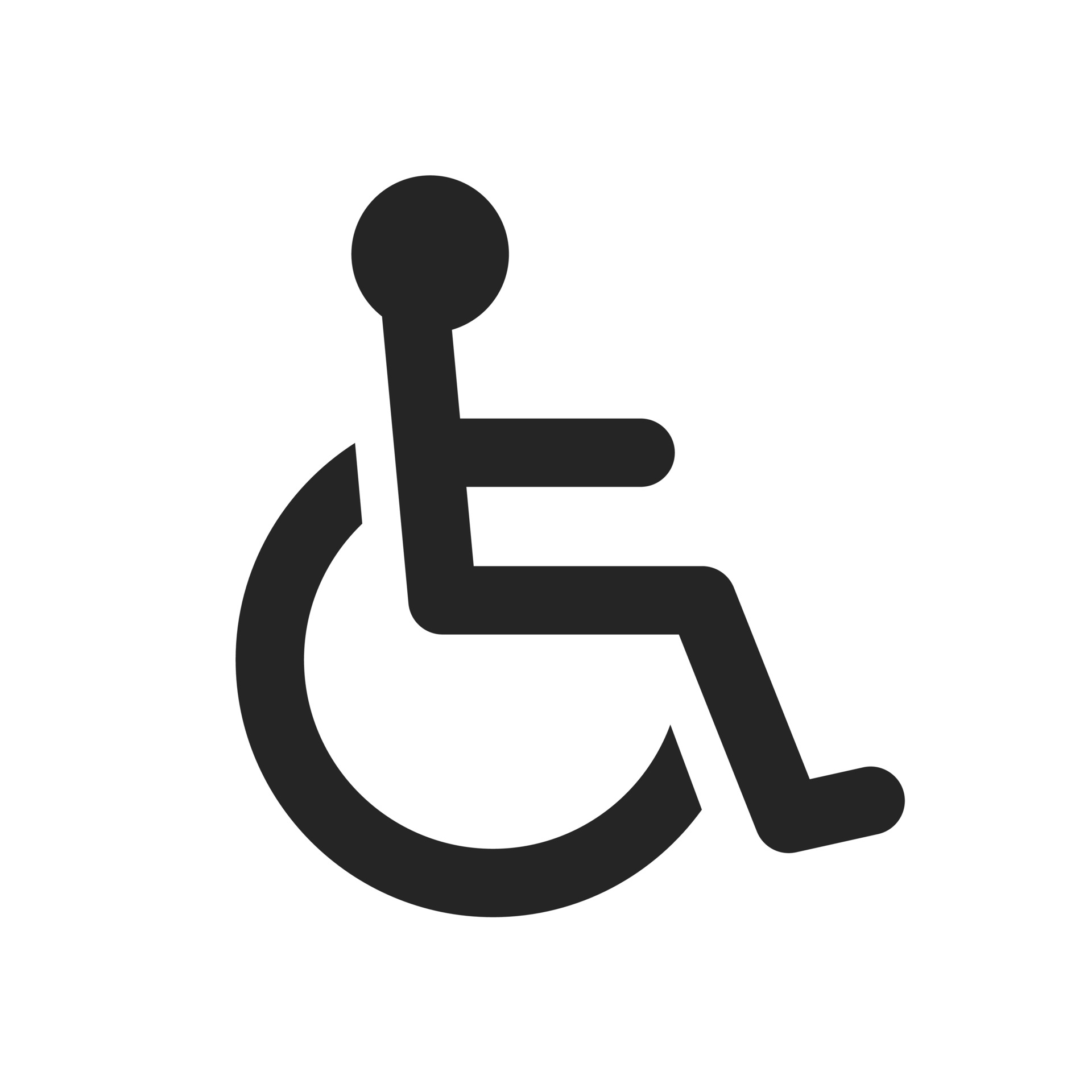 Disabled Icon